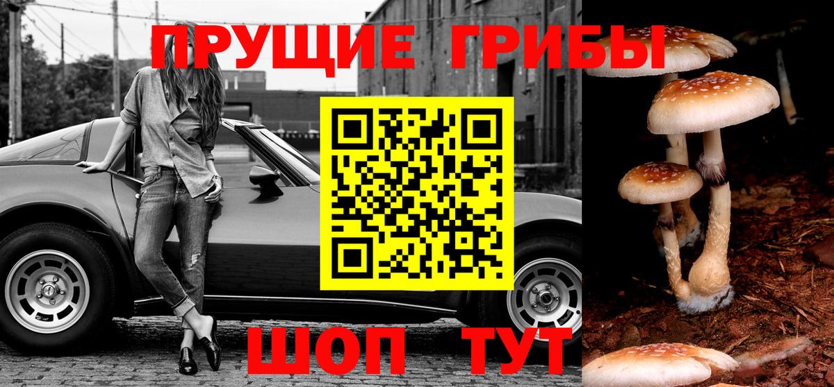 Галлюциногенные грибы Psilocybe  закладки  Дубна  Вход с VPN 